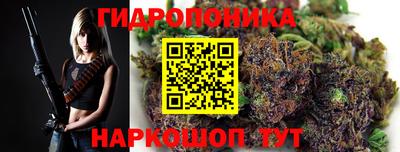 сатива Комсомольск-на-Амуре