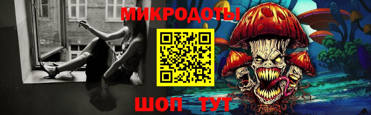 Псилоцибиновые грибы Psilocybe Когалым